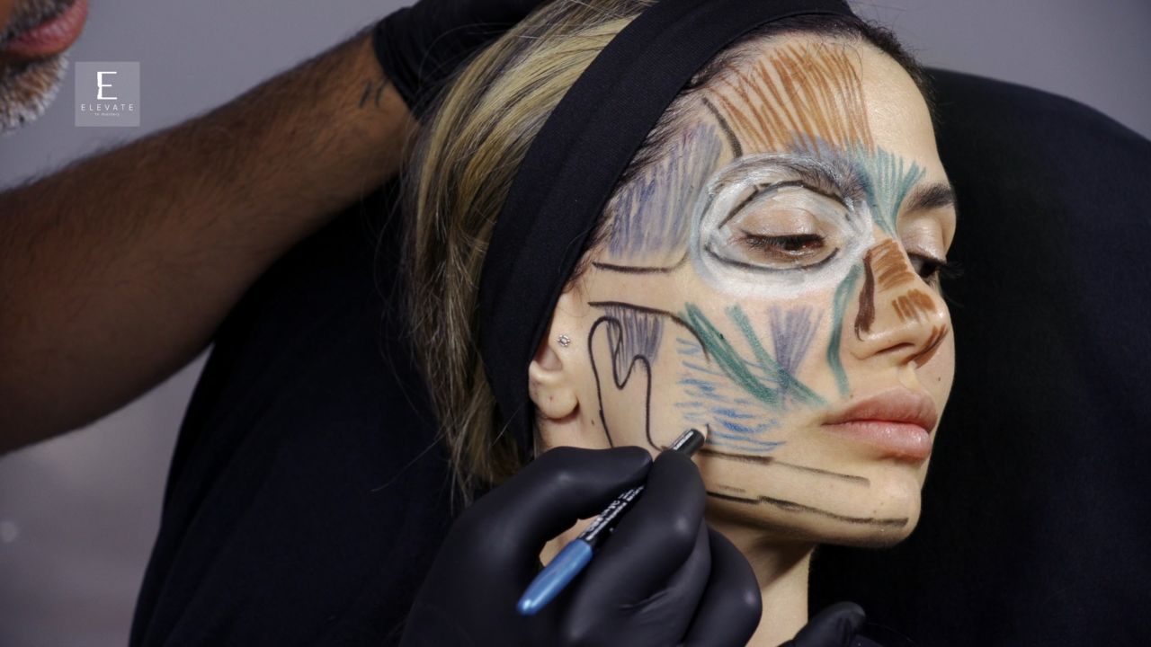 Facial Muscle Anatomy